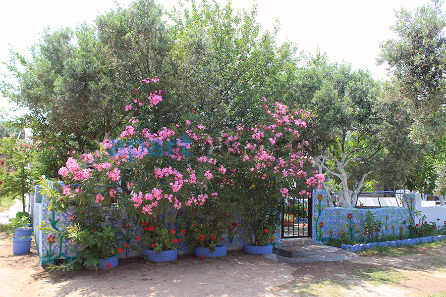 Akbulut Pansiyon