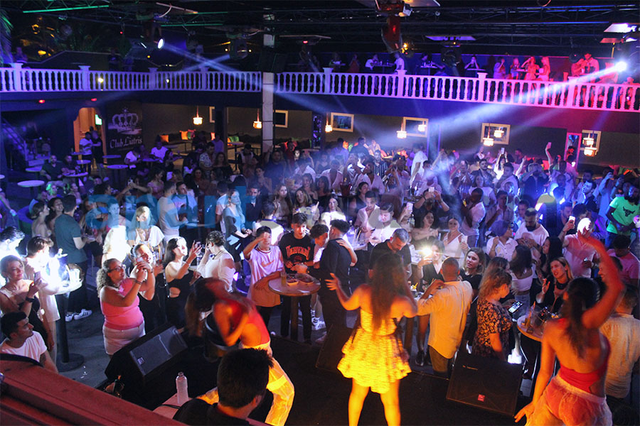 Liatris Disco